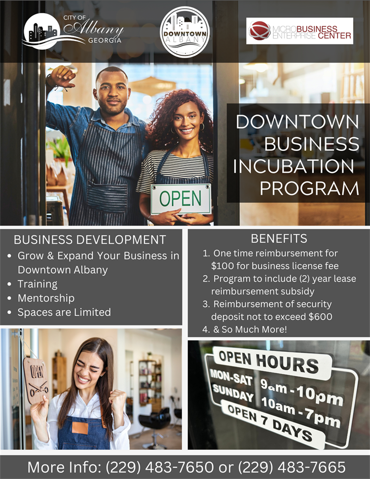Downtown Business Incubation Program.png