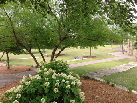 Downtown Trails